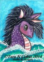 Sea Unicorn